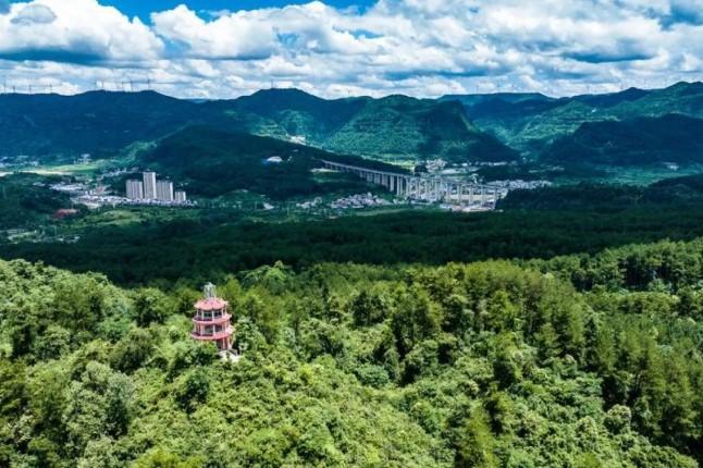 Guizhou Tunjukkan Transformasi Ekologi Jadi Kekuatan Ekonomi, Dorong Energi Hijau dan Pertanian Berkelanjutan