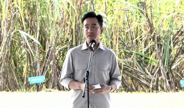 Wapres Gibran Targetkan Swasembada Gula Konsumsi pada 2026, Minta Kerja Sama Petani