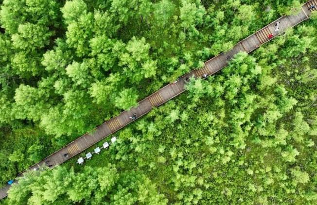 China Kurangi Degradasi Padang Rumput 3,3 Juta Hektare per Tahun, Prioritaskan Perlindungan Ekologis