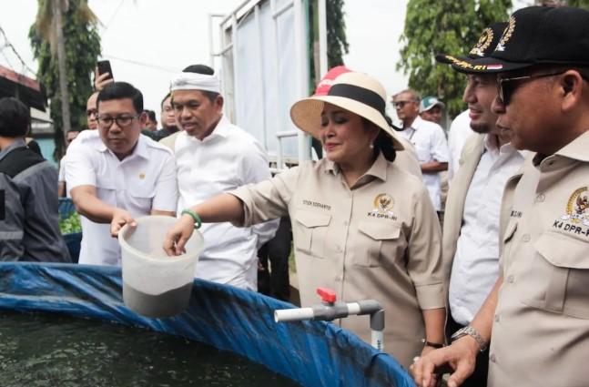 DPR Dukung Digitalisasi Budi Daya Perikanan Lewat Smart Fisheries Village untuk Wujudkan Ekonomi Biru