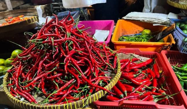 Harga Pangan Nasional 9 Juli 2025: Sebagian Besar Komoditas Turun, Kenaikan Terjadi pada Ayam Ras dan Minyak Goreng Curah