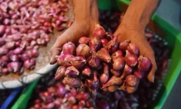 Harga Pangan Nasional 10 Juli 2025: Cabai dan Bawang Turun, Beras dan Daging Sapi Naik Tipis