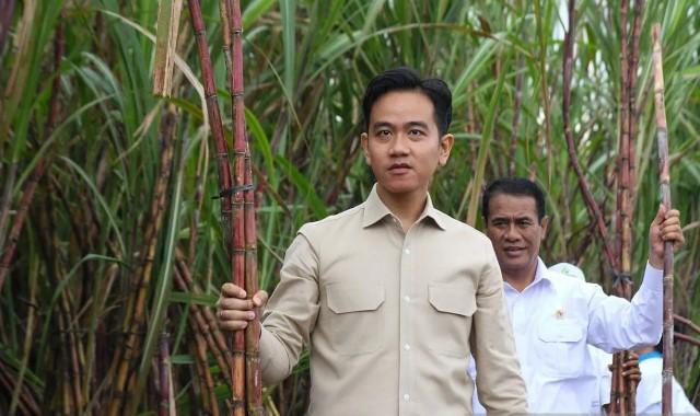 Cek Fakta: Hoaks Bantuan Motor Murah Rp500 Ribu oleh Wapres Gibran, Video TikTok Gunakan Rekayasa Visual