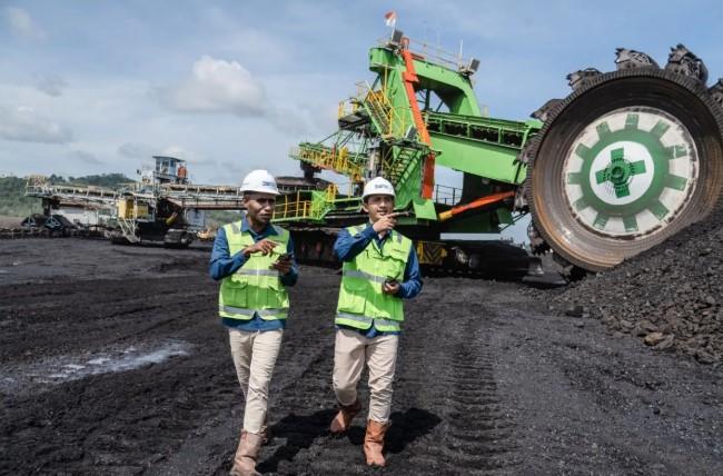 PT Bukit Asam Bagikan Dividen Rp3,83 Triliun di Tengah Penurunan Harga Batu Bara Global