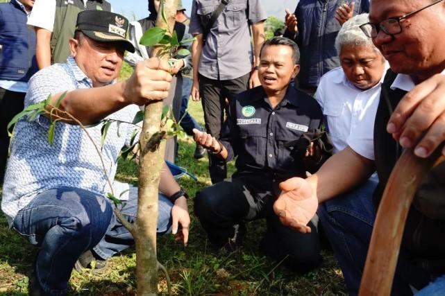 Cegah Bencana, Pemkab Garut Tanam Ratusan Pohon di Kaki Gunung Guntur