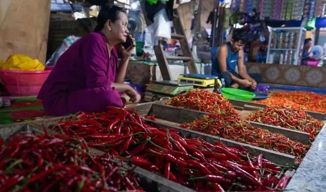 Harga Cabai, Bawang, dan Daging Sapi Turun, Sementara Beras dan Telur Naik: Update Harga Pangan per 11 Juli 2025
