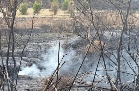 Petani Suriah Kehilangan Segalanya Akibat Karhutla, Ribuan Hektare Lahan Hangus dan Hutan Bersejarah Musnah