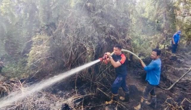 Polres Aceh Barat Tegaskan Sanksi Pidana bagi Pelaku Pembakaran Lahan yang Sebabkan Karhutla