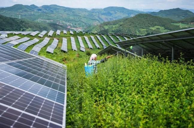 Produksi Listrik China Naik 1,7 Persen pada Juni 2025, Tenaga Surya Catat Pertumbuhan Tertinggi