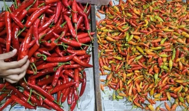 Harga Pangan 15 Juli 2025: Cabai, Bawang, dan Daging Sapi Turun, Beras Medium dan Ikan Naik
