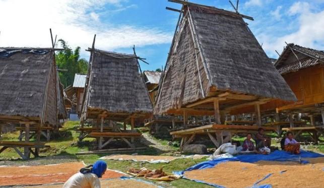Lumbung Pangan Desa Jadi Strategi Kunci Wujudkan Ketahanan Pangan Nasional
