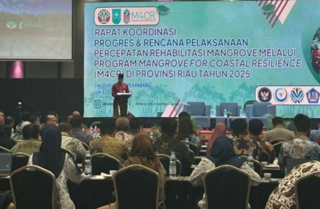 Riau Targetkan Rehabilitasi 4.200 Hektare Mangrove di Lima Kabupaten pada 2025