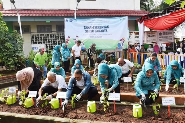 Pemprov DKI dan PKK Tanam 26 Ribu Bibit di Jakarta, Ajak Warga Aktif dalam Urban Farming untuk Ketahanan Pangan
