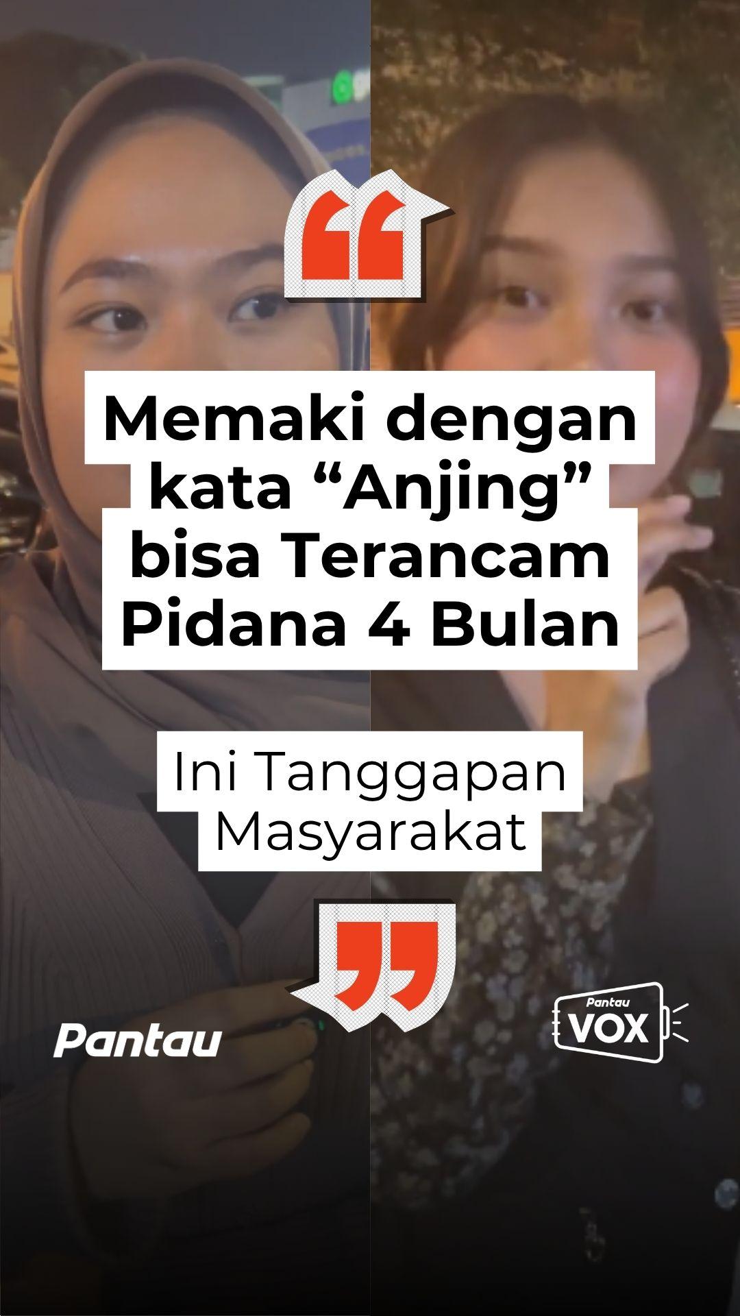 MEMAKI DENGAN KATA “ANJING” BISA TERANCAM PIDANA 4 BULAN