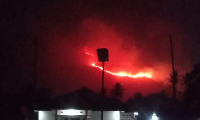 Kebakaran 300 Hektare Lahan di Bukit Gagoan Sulit Dipadamkan, Akses dan Angin Hambat Petugas