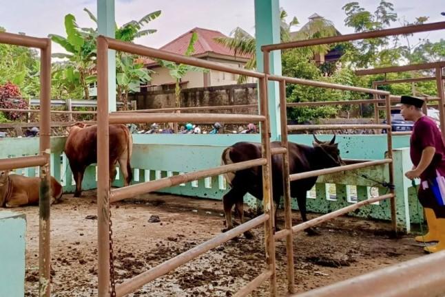 UPTD RPH Batam Pastikan Daging Segar Aman, Sehat, dan Halal untuk Konsumsi Warga