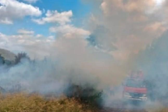 Karhutla di Kabupaten Toba Meluas, 235 Hektare Lahan Terdampak di Tiga Kecamatan