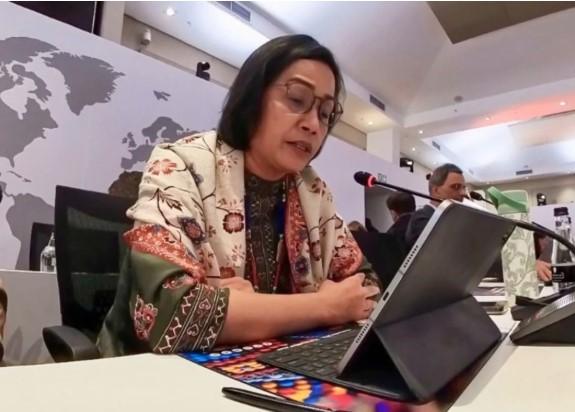 Sri Mulyani Paparkan Strategi Indonesia Hadapi Kesenjangan Pembiayaan Pembangunan di Forum G20 Afrika Selatan