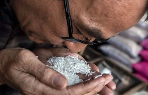 Praktik Oplosan Beras Semakin Sistemik, DPR dan Pemerintah Diminta Perkuat Pengawasan dan Perlindungan Konsumen