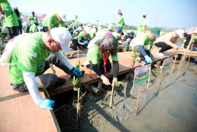 Organisasi Jepang AEF Tanam 1.000 Bibit Bakau di Pesisir Tangerang, Dorong Pelestarian dan Cegah Banjir