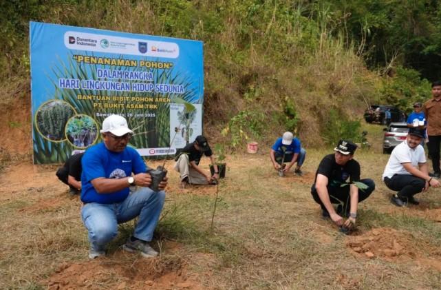 PT Bukit Asam Tanam 500 Bibit Aren dan Bambu di Sawahlunto, Ubah Lahan Tambang Jadi Kawasan Konservasi Produktif