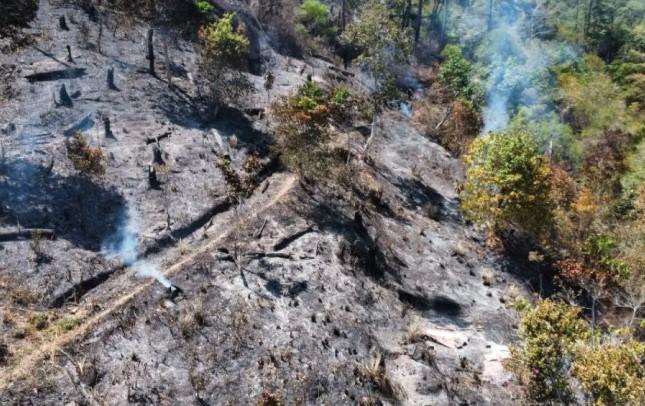 Limapuluh Kota dan Solok Tetapkan Status Tanggap Darurat Karhutla, Seluruh Kecamatan Terdampak