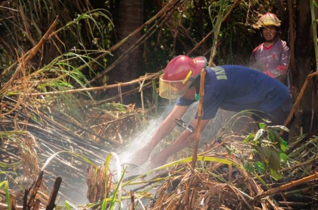 Sumbar Pertimbangkan Perpanjangan Bantuan Tim Manggala Agni Jambi untuk Atasi Karhutla