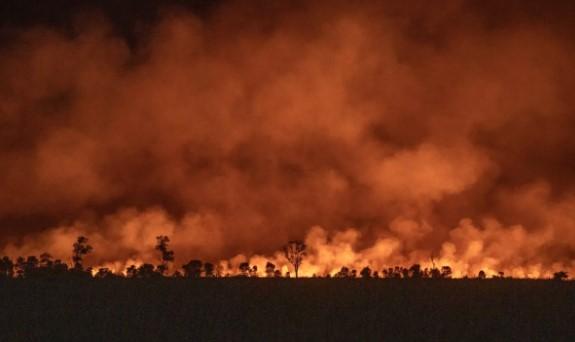 Karhutla di Sumatera Selatan Hanguskan 43 Hektare Lahan, Pemadaman Berhasil Dilakukan dalam Sepekan