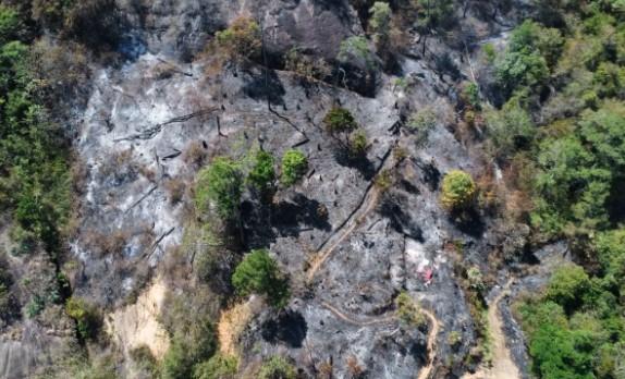 Sumatera Barat Siapkan Status Siaga Darurat Karhutla, 500 Hektare Lahan Terbakar