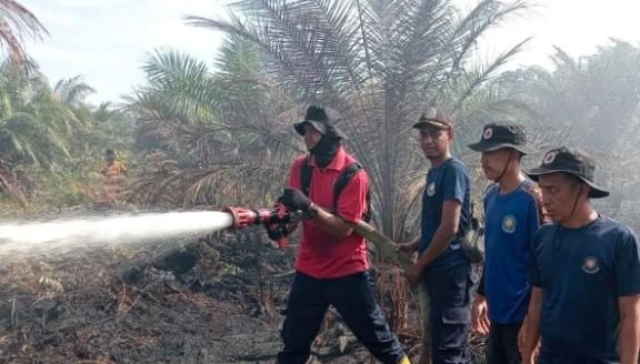 BPBD Aceh Barat Berhasil Padamkan 70 Persen Kebakaran Lahan di Desa Aron Baroh