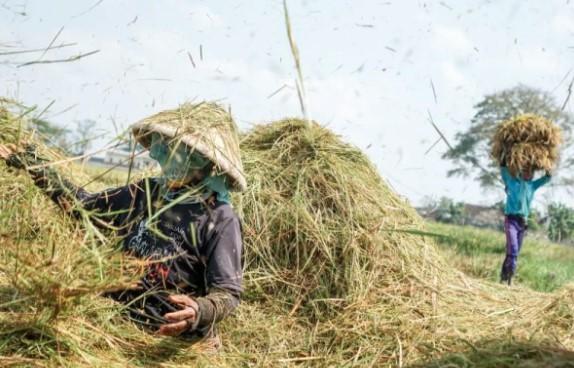 Pangan Kuat, Negara Berdaulat: Seruan Arief Prasetyo Bangkitkan Komitmen Kedaulatan Pangan Indonesia