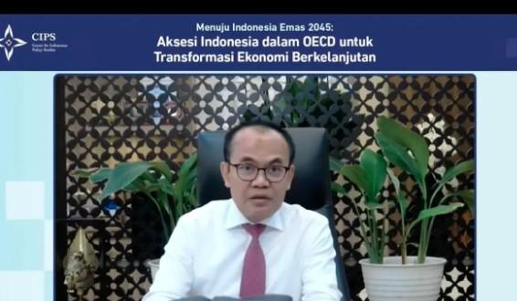 Aksesi Indonesia ke OECD Jadi Pengungkit Transformasi Ekonomi, Pemerintah Fokus pada Reformasi Struktural dan Kolaborasi Mult