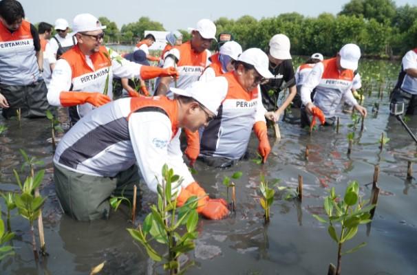 Tumbuhkan Cinta Lingkungan, Pertamina dan Siswa SD Tanam Puluhan Ribu Mangrove