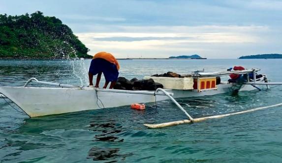 Nelayan Gorontalo Tetap Melaut Meski Ada Peringatan Tsunami, Warga Diimbau Tetap Waspada