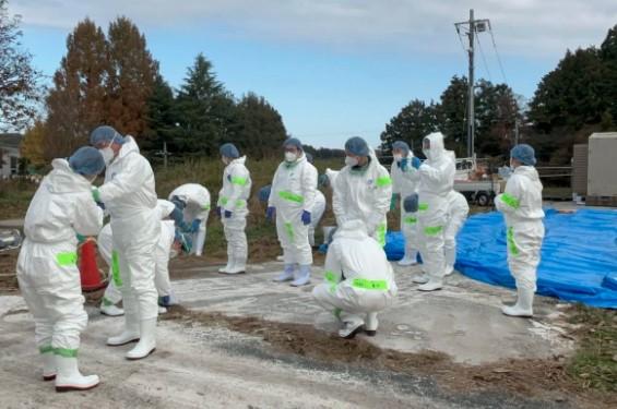 Kasus Flu Burung H5N1 di Kamboja Bertambah, Total Capai 14 dengan 5 Kematian