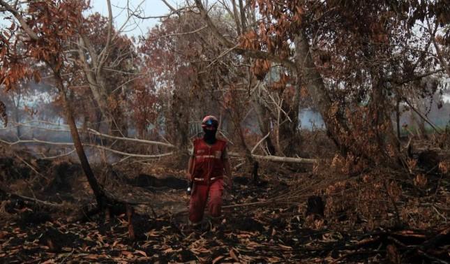 BMKG Deteksi Lonjakan Titik Panas di Kalimantan dan Sumatera, Risiko Karhutla Meningkat Tajam