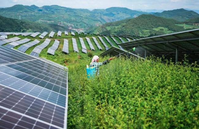 Energi Terbarukan Dominasi Kapasitas Listrik Baru di China, Capai 91,5 Persen pada Semester Pertama 2025