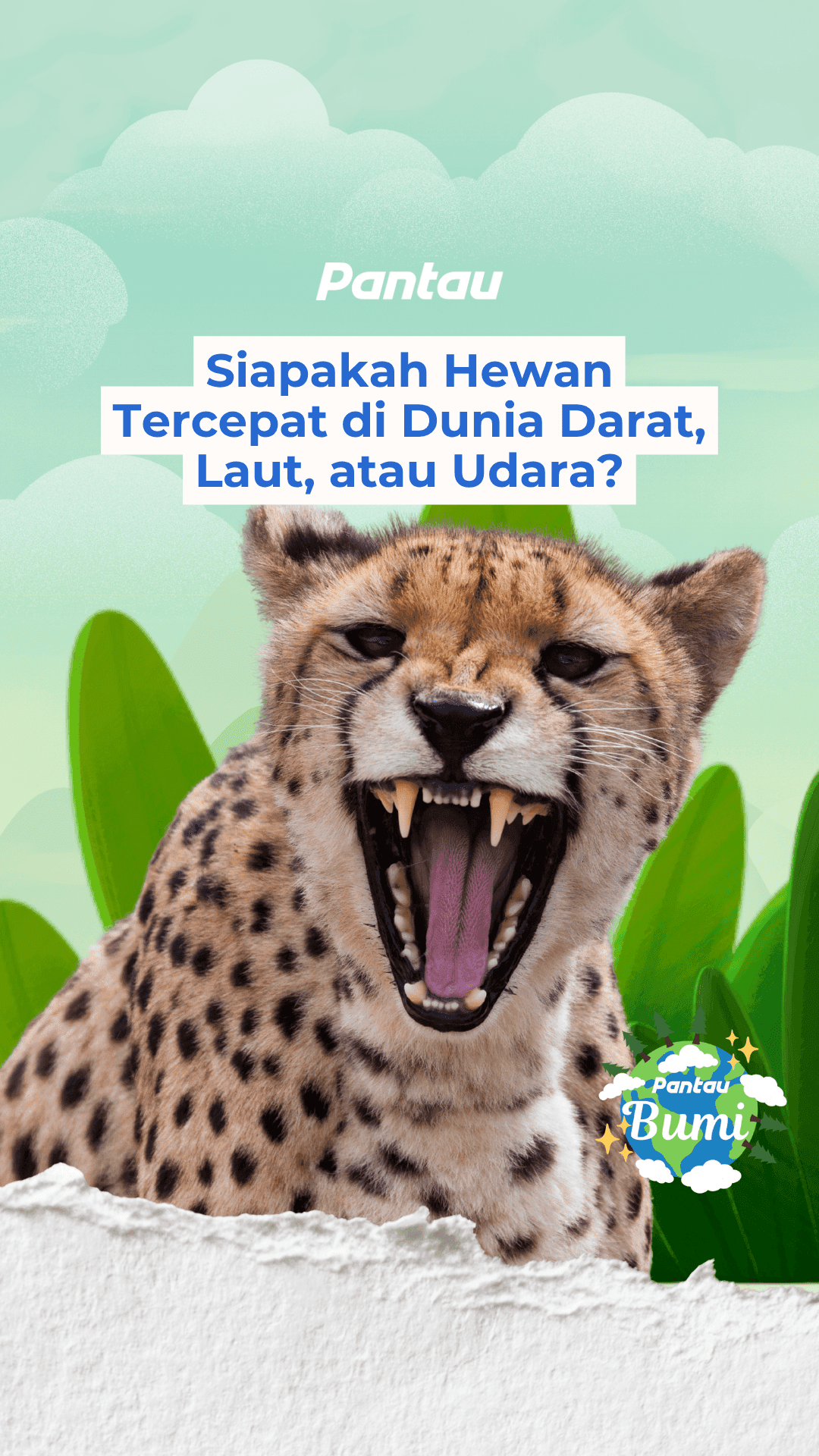 HEWAN TERCEPAT DI DARAT LAUT DAN UDARA