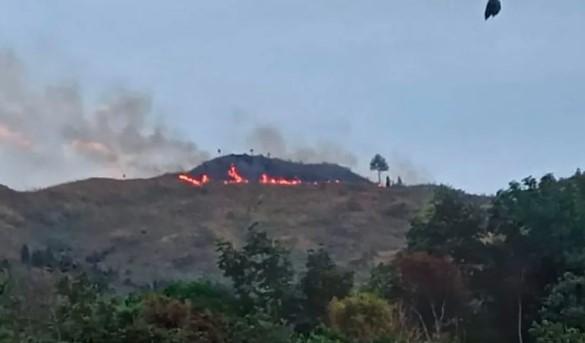 Dishut Sumbar Selidiki Kebakaran 100 Hektare di Bukit Teletubies Pasaman, Ilalang Kering Percepat Rambatan Api