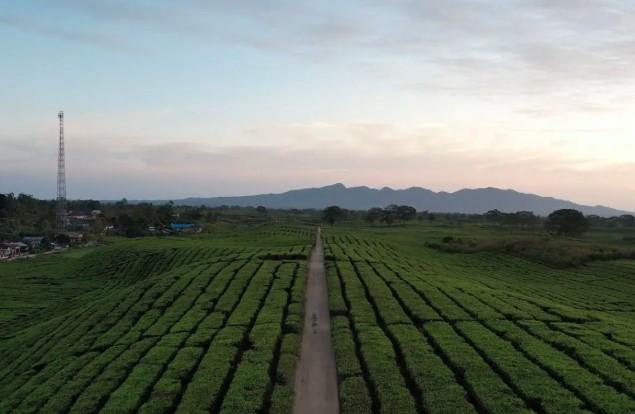 PTPN IV PalmCo Dukung APRC 2025 di Simalungun, Siap Angkat Sport Tourism Kawasan Kebun
