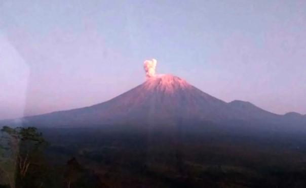 Gunung Semeru Empat Kali Erupsi Minggu Pagi, PVMBG Imbau Warga Waspada