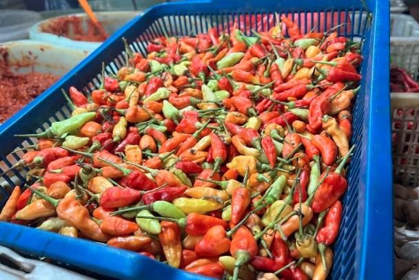 Bapanas Catat Penurunan Harga Bawang Merah dan Cabai Rawit, Stabilitas Pangan Terjaga