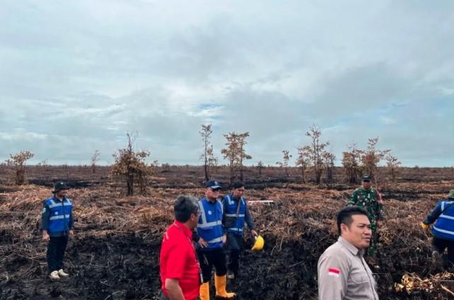 KLH Segel 200 Hektare Lahan Bekas Terbakar di Kubu Raya, Langkah Tegas untuk Cegah Asap