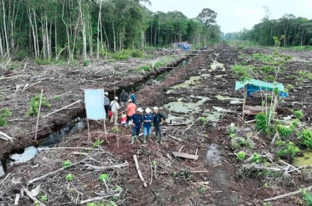 Kemenhut Segel 80 Hektare Lahan Terbakar di Konsesi PT PML Sumsel, Diduga Ada Perambahan Ilegal