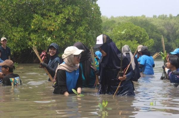 Universitas Pertamina Masuk THE Impact Rankings 2025, Cetak Prestasi di Tiga SDGs Sekaligus