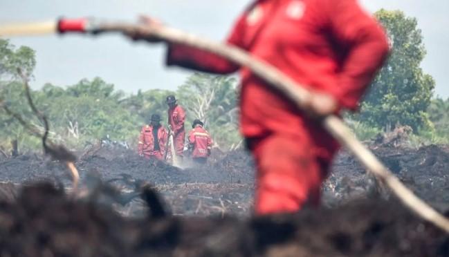 Anomali Cuaca Picu Banjir dan Karhutla Serentak, BNPB Imbau Pemda Tingkatkan Kesiapsiagaan