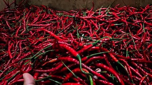 Harga Pangan Nasional Turun, Cabai Rawit Merah dan Bawang Merah Alami Penurunan Tertajam