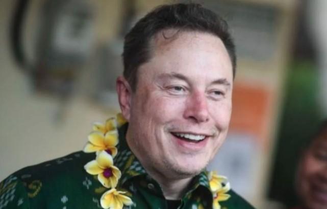 Elon Musk Temukan Arsip Vine yang Hilang dan Isyaratkan Kebangkitan Konten Video AI di Platform X