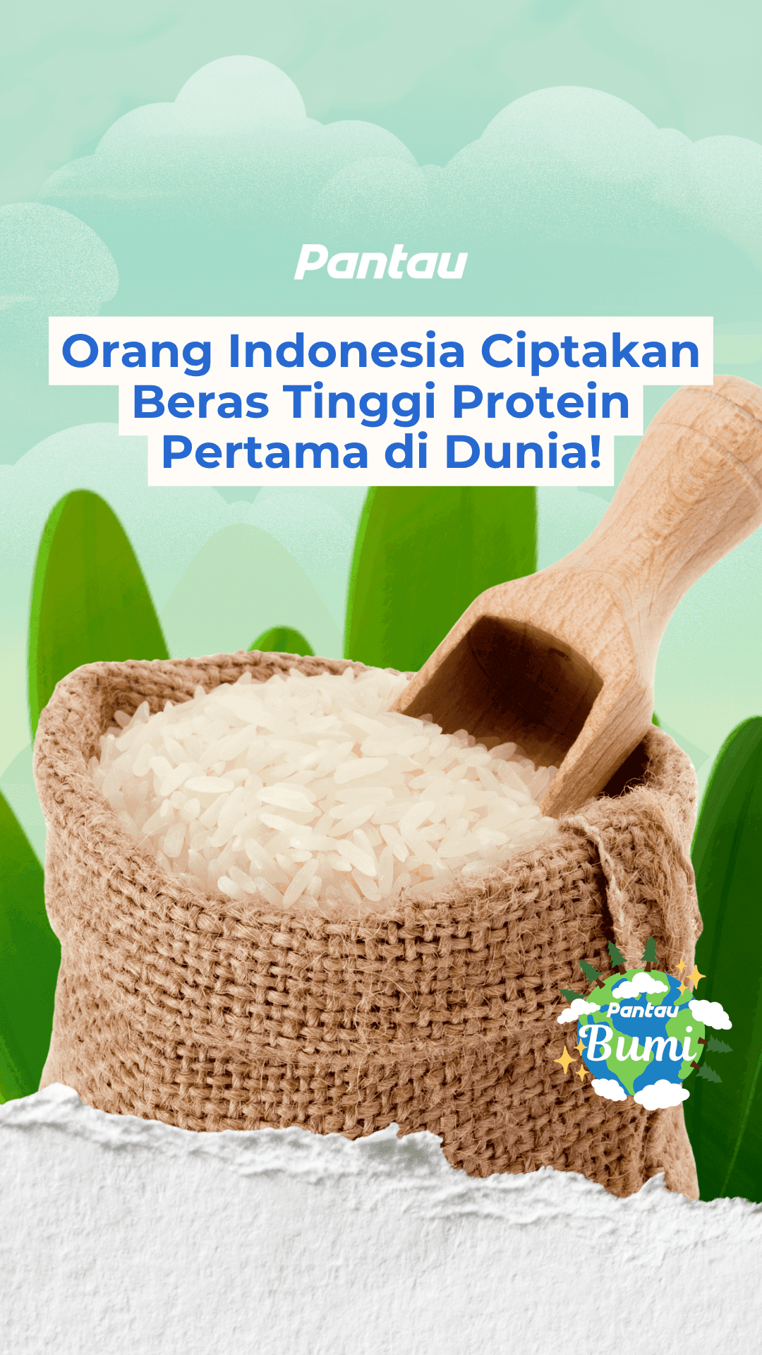 ORANG INDONESIA CIPTAKAN BERAS TINGGI PROTEIN PERTAMA DIDUNIA