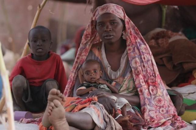 PBB Desak Gencatan Senjata di Sudan, El Fasher Terancam Kelaparan dan Wabah di Tengah Krisis Kemanusiaan